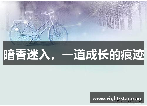 暗香迷入，一道成长的痕迹